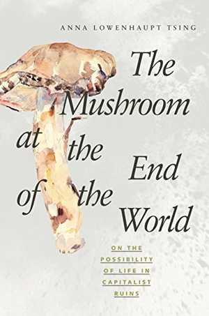 The Mushroom at the End of the World